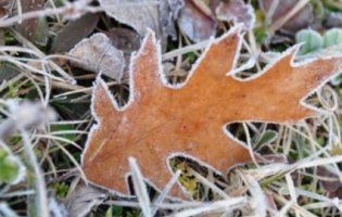 Перший нормальний сніг випаде 27 листопада