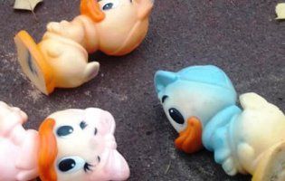 У Вінниці переполоху наробив «качиний терорист» (відео, фото)