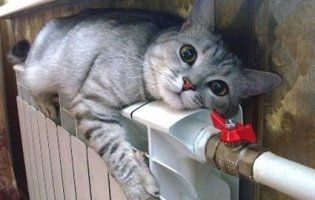 У домівках лучан знову теплі батареї