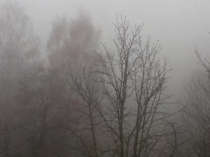 Луцьк накрив туман (фото)