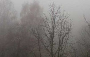 Луцьк накрив туман (фото)