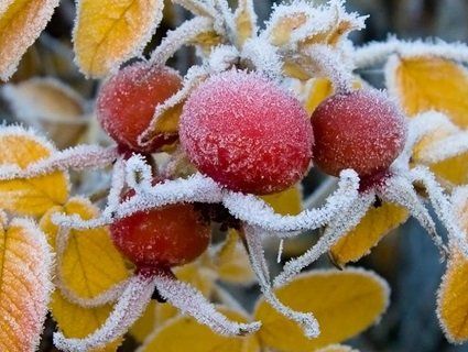 Погода на вихідні від народного синоптика та метеорологів