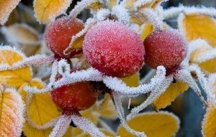 Погода на вихідні від народного синоптика та метеорологів