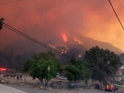 Половина голлівудських зірок залишиться безхатьками через масштабну пожежу в Каліфорнії