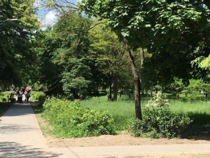 У Луцьку набирає обертів скандал навколо встановлення дитячого майданчика у парку