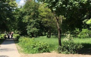 У Луцьку набирає обертів скандал навколо встановлення дитячого майданчика у парку