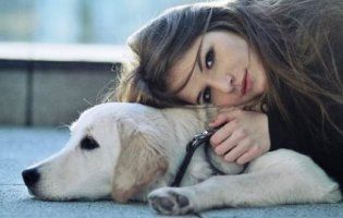 Хаскі або вівчарка: яка ти собака по знаку зодіаку?