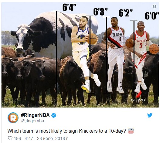 корова-баскетболіст