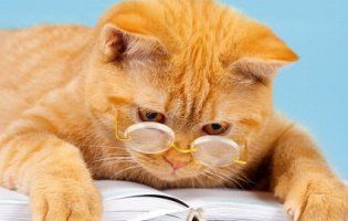 7 грудня: веселі анекдоти дня