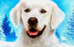 Новорічний фільм 7 грудня 2018: що подивитися на вечір (відео)