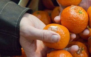 Дешеві – не завжди якісні: в Україну привезли дивні єгипетські мандарини