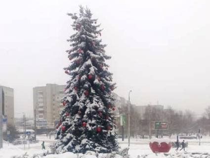 В Луцьку комунальники під снігопадом наряджають ялини біля РАЦСу (фото)
