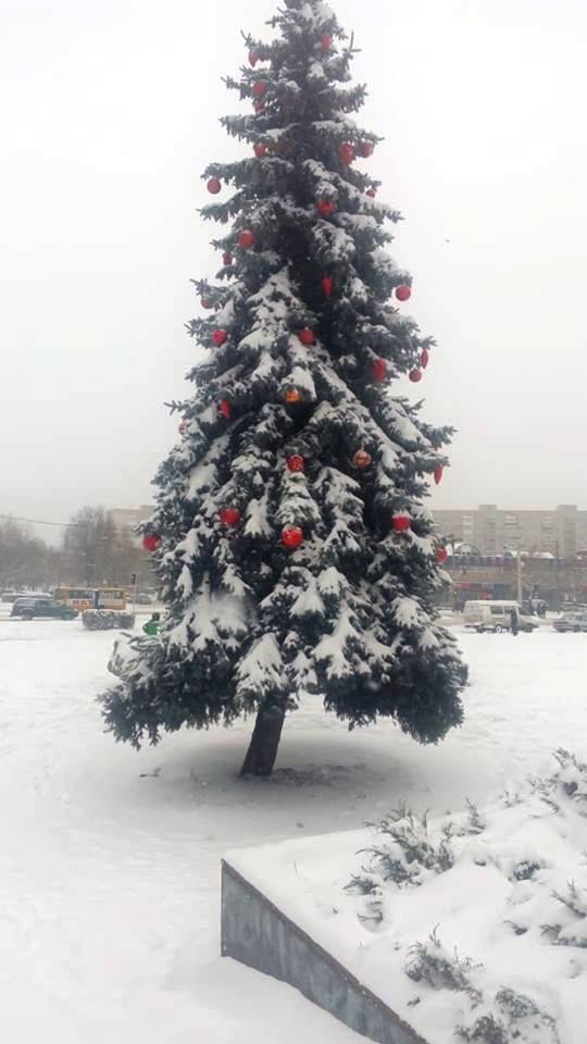 новорічне диво в Луцьку