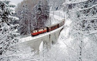 Жінку на Харківщині збив потяг