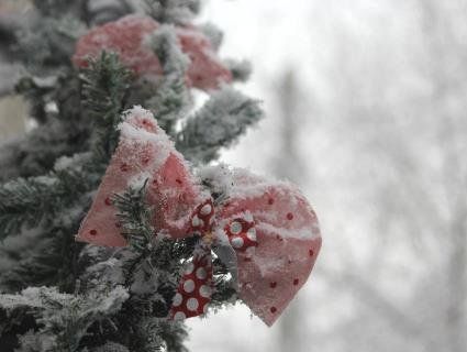 2019-ий: в Україні новий рік розпочався невеликим снігом