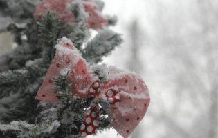 2019-ий: в Україні новий рік розпочався невеликим снігом