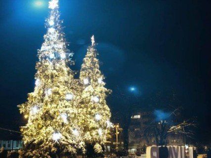 Луцькі ялинки увійшли в п’ятірку найкрасивіших новорічних красунь України