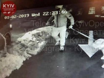 Розшукують собачника: у Києві кавказець із двома псами убив співробітника Управління держохорони