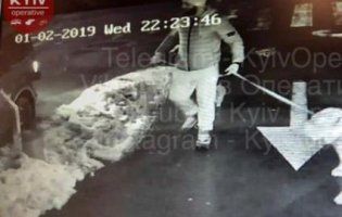 Розшукують собачника: у Києві кавказець із двома псами убив співробітника Управління держохорони