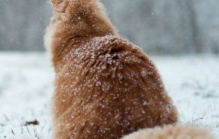 Повідомили, якою буде весна та літо цього року