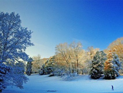 Погода на 6 січня: чим здивує нас переддень Різдва