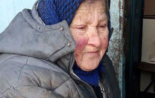 77-річна лучанка доглядає 22 собаки, а сама живе у вагончику