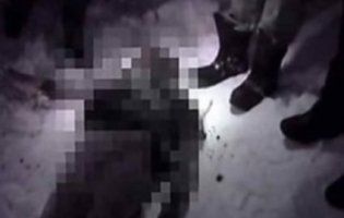 Був під галюциногенами: розкрилася причина трагічної загибелі підлітка у Львові