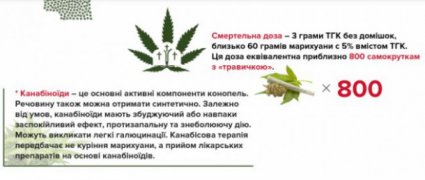 садовий про марихуану