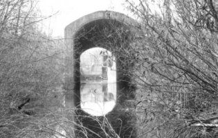 Подих захоплює: загадкові тунелі під Дніпром показали з висоти польоту дрона