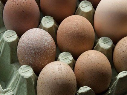 Малюків дитячого садка на Тернопільщині годували яйцями із сальмонелою: винних судитимуть