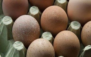 Малюків дитячого садка на Тернопільщині годували яйцями із сальмонелою: винних судитимуть