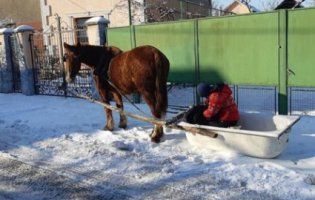 Тест-драйв старій ванні: на Закарпатті помітили дивний транспортний засіб (фото)