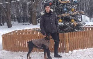 У Полтаві розшукують донорів для собак