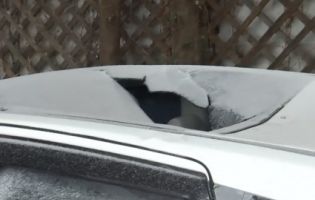 Бурульки атакують: у Києві крижана брила пробила дах авто (відео)