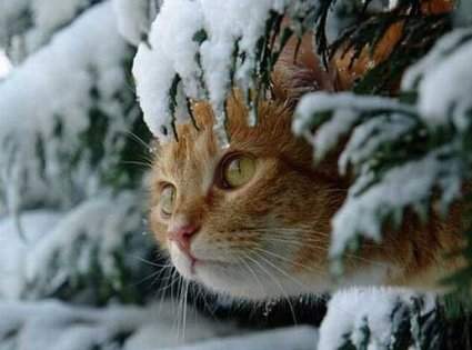 26 січня: чому сьогодні не можна працювати та взагалі виходити з дому