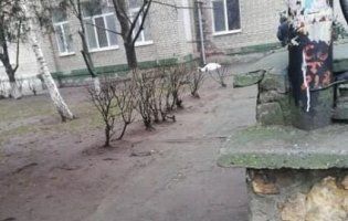 В Херсоні пенсіонер з важкою формою пневмонії викинувся з вікна