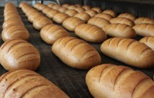В Україні стало менше хліба