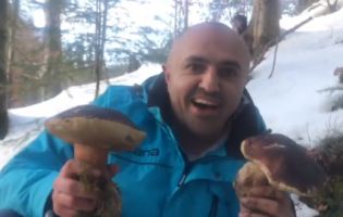 Боровики на проталинах: у Карпатах відкрили зимовий грибний сезон (відео)
