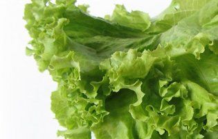 В Україну намагались ввезти 4 тонни зараженого салату