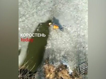 На Житомирщині школяр кинувся рятувати пса, який провалився під лід (відео)
