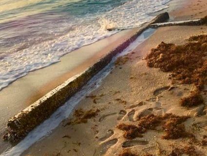 У Флориді море винесло 6-метровий хрест (фото)