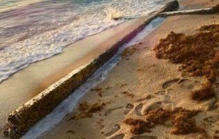 У Флориді море винесло 6-метровий хрест (фото)