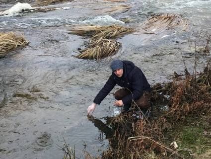 Екокатастрофа: на Житомирщині річка посіріла через скиди невідомої речовини (фото)