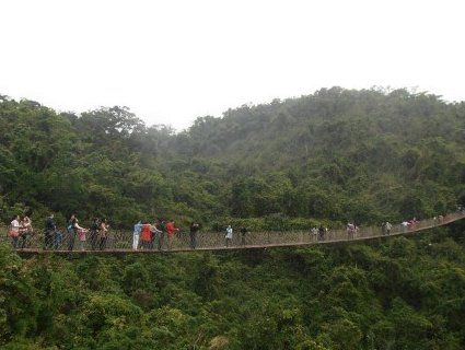 Обірвався мотузковий міст з туристами