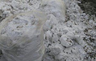 Через приїзд Путіна у Красноярську побілили сніг (фото)