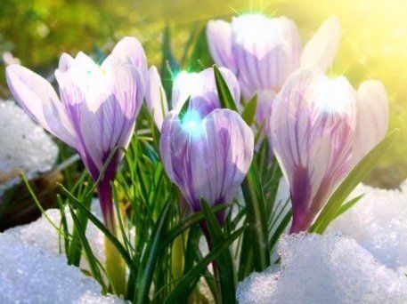 Прогноз: коли настане справжня весна