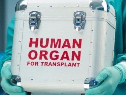 Шанс на порятунок: в Україні дозволили трансплантацію