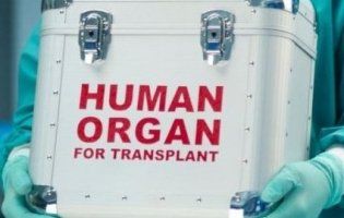 Шанс на порятунок: в Україні дозволили трансплантацію