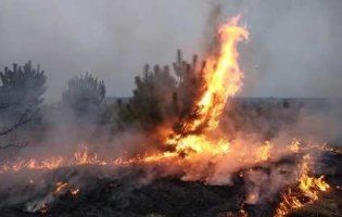 «Хто палить траву – то хай їхні хати горять», – волинський сільський голова (фото)