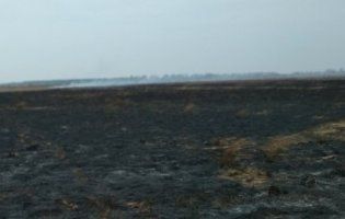 Понад 60 пожеж за тиждень: на Волині масово палять сухостій